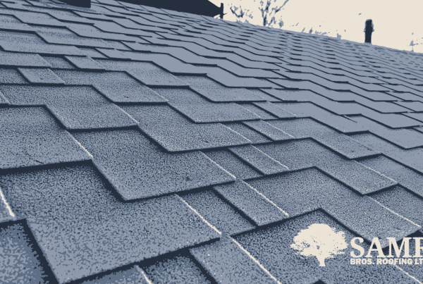 Asphalt, Fiberglass, and Ceramic Shingles Roof Replacement