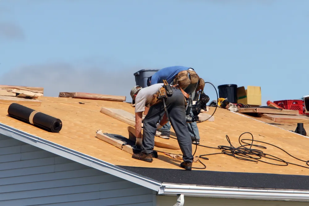 shingles roofing (1)